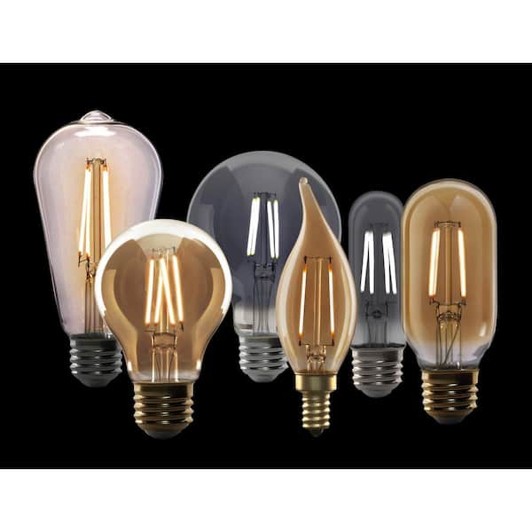 Feit Electric 60-Watt Equivalent ST19 Dimmable Cage Filament Clear