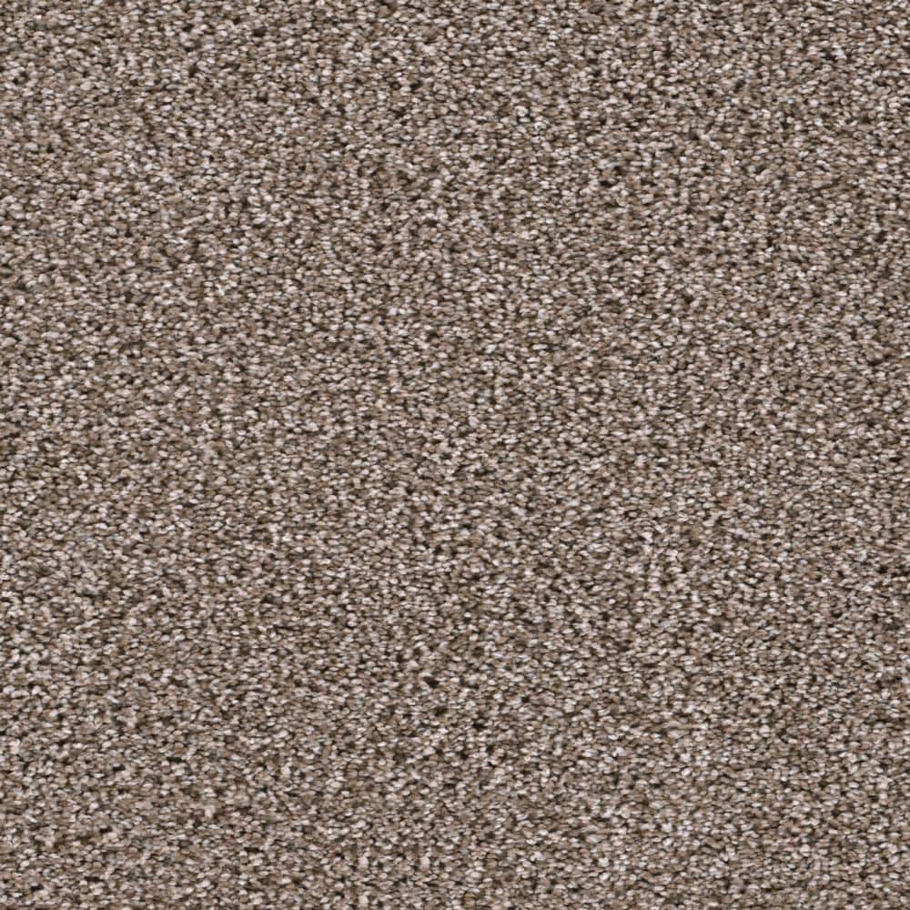 8 in. x  8 in. Texture Carpet Sample - Affectionate I -Color Moonstruck price history on PriceWatchPro