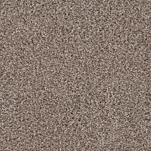 8 in. x 8 in. Texture Carpet Sample - Affectionate I -Color Moonstruck