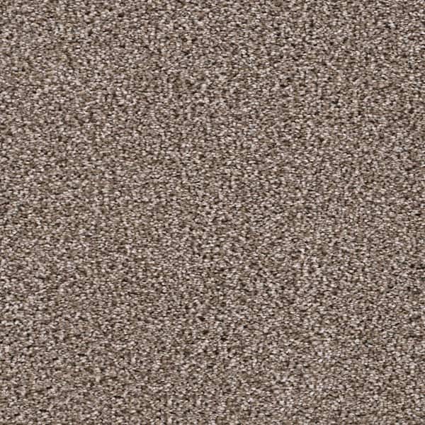 Home Decorators Collection 8 in. x 8 in. Texture Carpet Sample - Affectionate I -Color Moonstruck