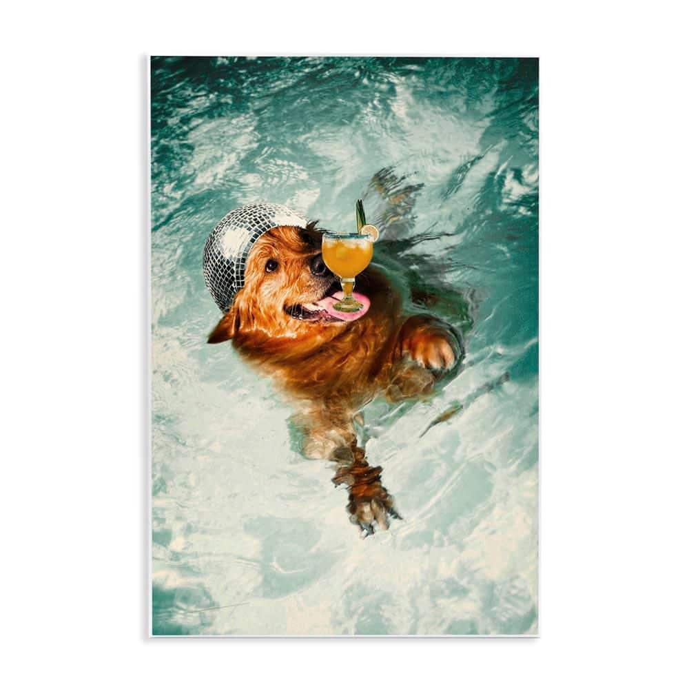 Disco Dog in Pool by Graffi*tee Studios Unframed Animal Graphic Art Print 19 in. x 13 in. price history on PriceWatchPro