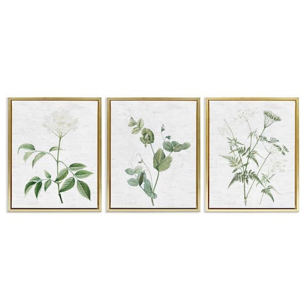 Soft White Botanicals by Lettered and Lined 3 Pieces Gold Floater Frame Nature Graphic Art Print 31 in. x 25 in.