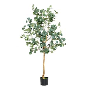 5.5 ft. Artificial Eucalyptus Tree Tall Fake Plants in Pot with 517-Silver Dollar Leaves for Indoor Outdoor 65 in.