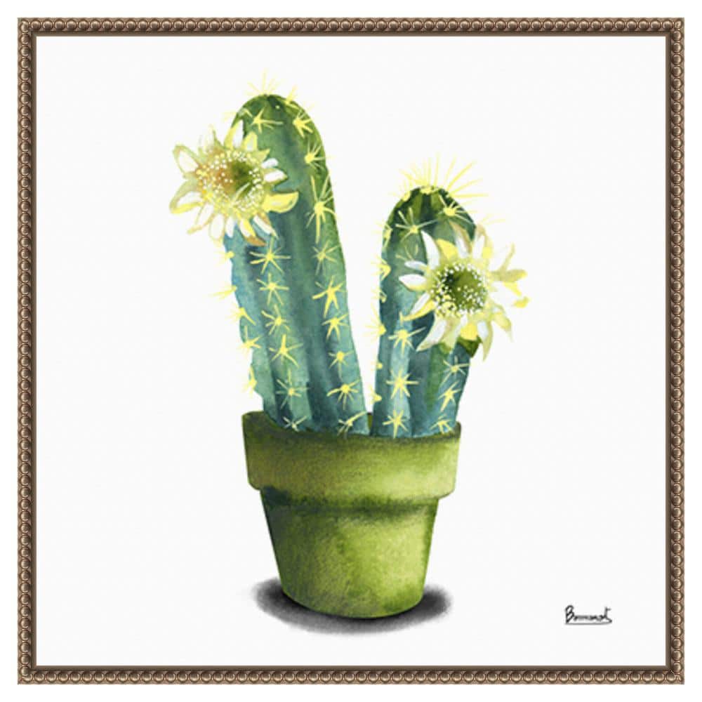 Cactus Flowers II by Bannarot 22 in. W x 22 in. H Canvas Float Frame in Bronze price history on PriceWatchPro