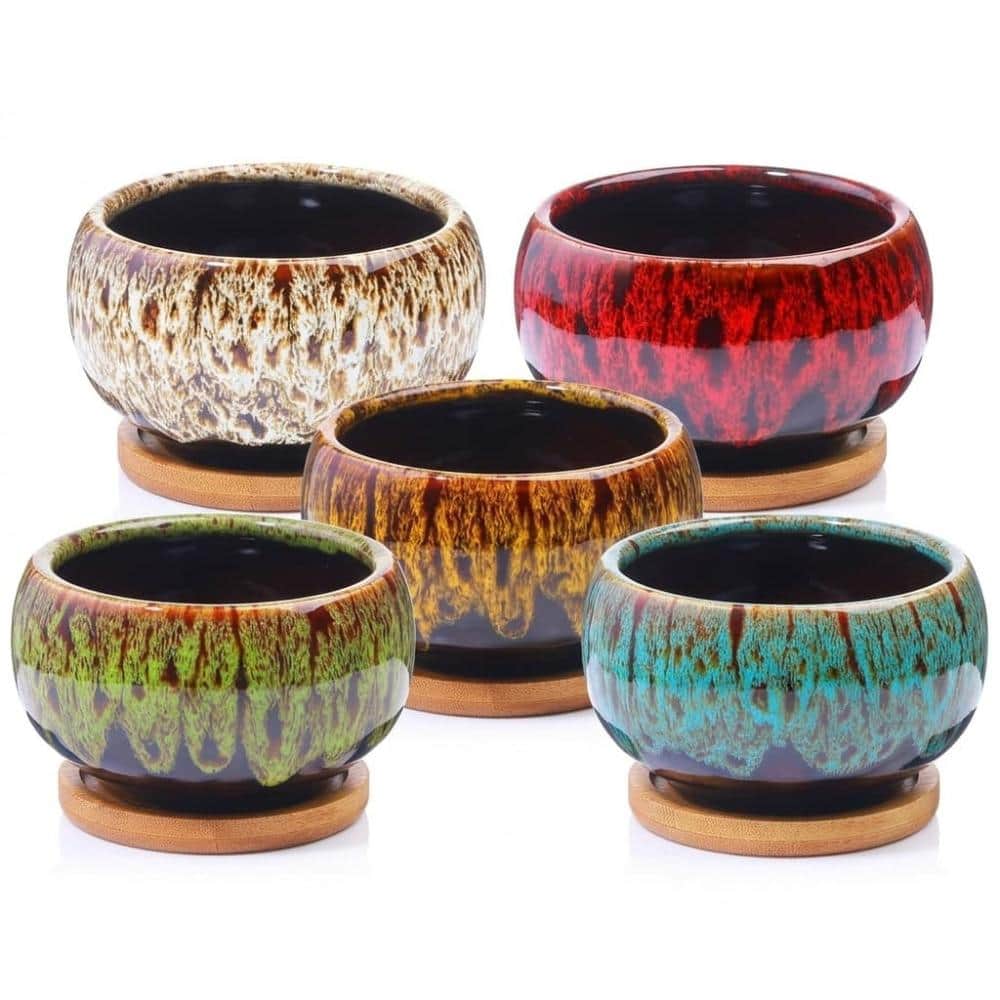 5 Pack Round Ceramic Succulent Planters with Drainage & Built-in Saucers, No Plants price history on PriceWatchPro