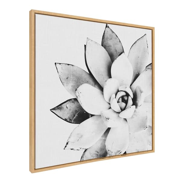 Kate and Laurel Sylvie Succulent Framed Canvas by Tai Prints Set of 1 Nature Art Print 30.00 in. x 30.00 in.