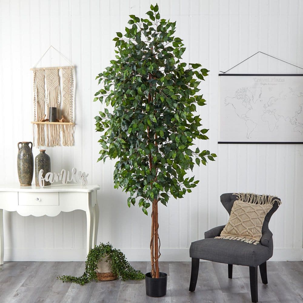 Tall Green Silk Ficus Tree in Black Plastic Pot