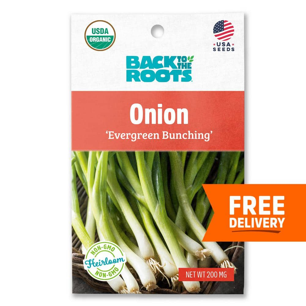 Back to the Roots Organic Evergreen Bunching Onion Seed (1-Pack) 46047 ...