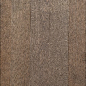 Canadian Northern Birch Nickel 3/4 in. Thick x 2-1/4 in. Wide x Varying Length Solid Hardwood Flooring (20 sq. Ft/case)