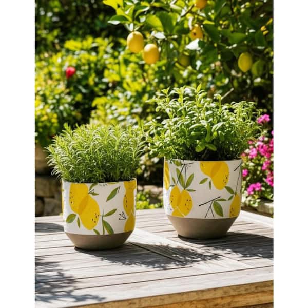 Liv & Skye 6 in. and 7 in. Yellow Ceramic Growing Lemons