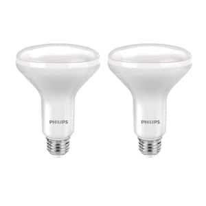 65-Watt Equivalent BR30 LED Soft White (2-Pack)