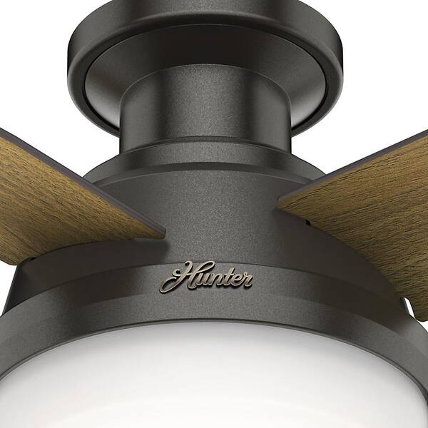 Hunter Dempsey 44 In Low Profile Led Indoor Noble Bronze Ceiling Fan With Universal Remote 59445 The Home Depot - Hunter 44 Dempsey Noble Bronze Ceiling Fan With Light Kit And Remote