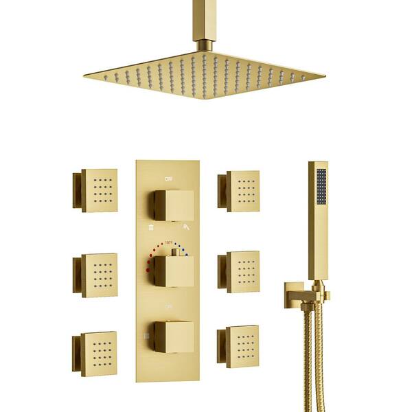 CRANACH Thermostatic 5Spray 12 in. Ceiling Mount Dual Shower Head and