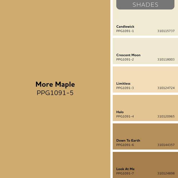 マダムゴサンMadame Gaussianの102ブティパターン Glidden Premium 1 gal. More Maple PPG1091-5 Satin Exterior Latex