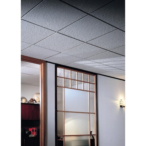 USG Ceilings 2 ft. x 2 ft. Mars White Square Edge Lay-In