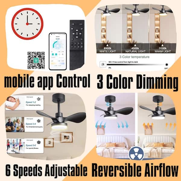 24 Inch Small Ceiling Fan with Light remote control, black, 6-Speeds Quiet Reversible DC motor for Bedroom, Kitchen