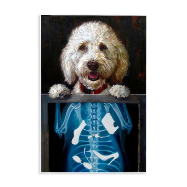 Stupell Industries Funny Dog X-Ray Snacks by Lucia Heffernan 1 Piece Unframed Animal Graphic Art Print 19 in. x 13 in.