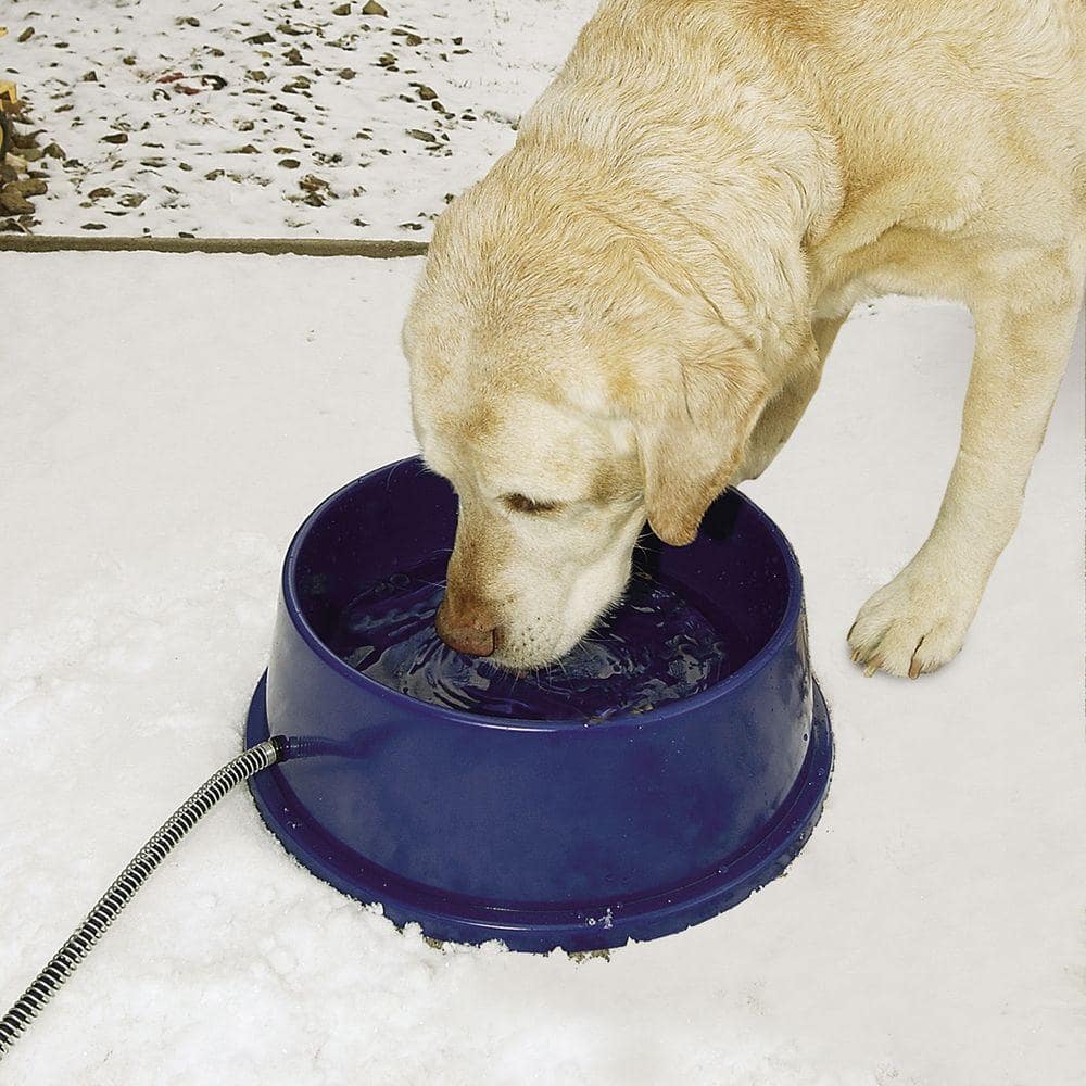 Blue Stainless Steel Heated Pet Water Bowl, 96 Ounces