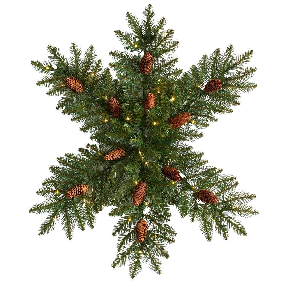 30 in. Prelit LED Dunhill Fir Snowflake Artificial Christmas Wreath with Pinecones and 40 LED Lights price history on PriceWatchPro