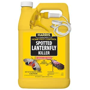 Harris 1 Gal. Asian Lady Beetle and Box Elder Bug Killer (3-Pack) 3HBXA-128  - The Home Depot