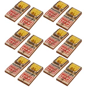 Mouse Snap Trap (12-Pack)