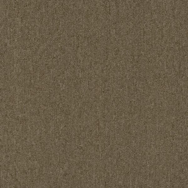 TrafficMaster Ramble On - Derby - Beige 20 oz. SD Polyester Loop Installed Carpet