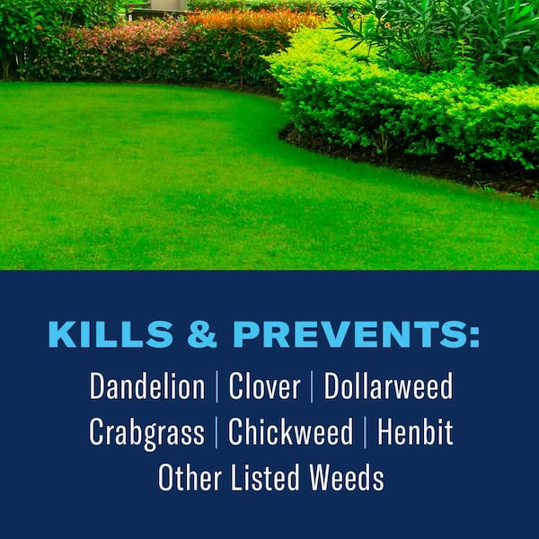 10 lb. Granules, Season Long Weed Killer Plus Preventer for Southern Lawns