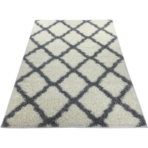 Shaggy Ivory 3 ft. x 7 ft. Trellis Synthetic Rectangle Area Rug