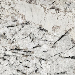 3 in. x 3 in. Granite Countertop Sample in Delicatus White