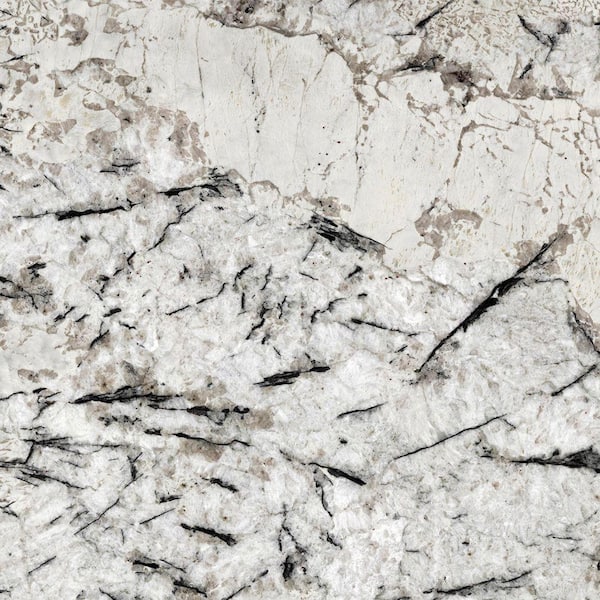 STONEMARK 3 in. x 3 in. Granite Countertop Sample in Delicatus White