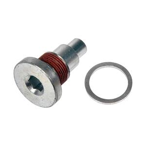Timing Chain Guide Bolt
