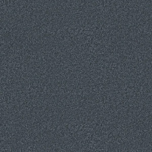 Rosemary II - Slate-Blue 12 ft. 56 oz. High Performance Polyester Texture Installed Carpet