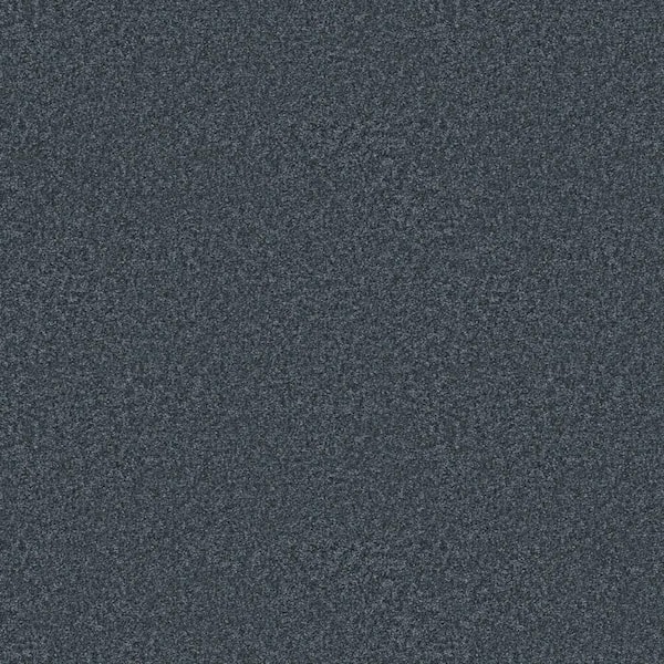 Rosemary III - Slate-Blue 12 ft. 66 oz. High Performance Polyester Texture Installed Carpet