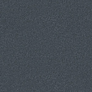 Rosemary I - Slate-Blue 12 ft. 42 oz. Polyester Texture Installed Carpet