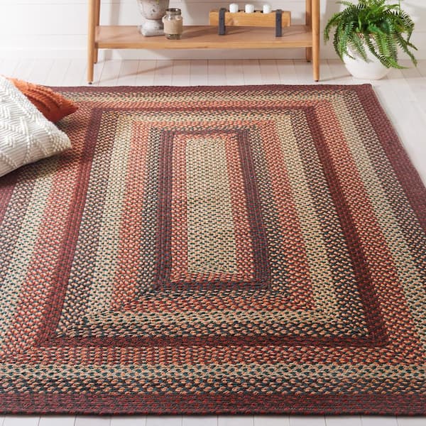 Braided Brown/Rust 6 ft. x 9 ft. Striped Border Area Rug