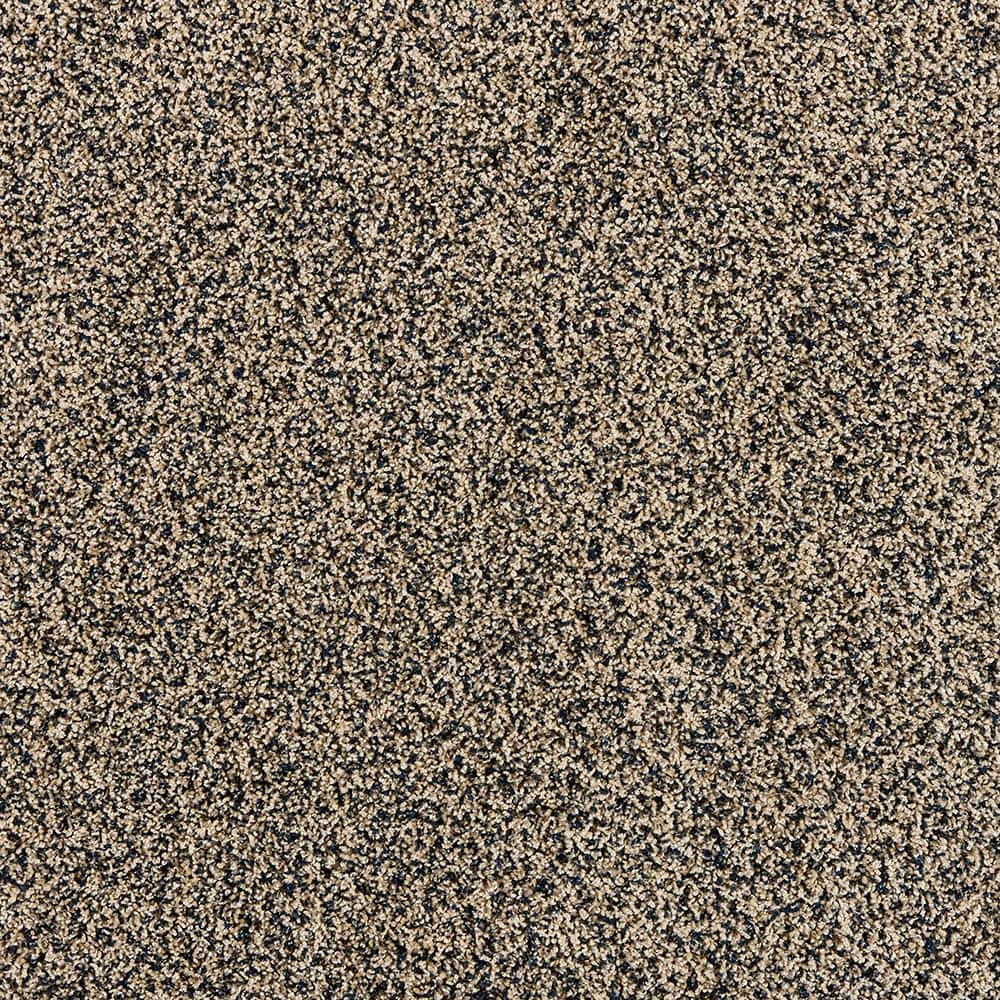 8 in. x 8 in. Texture Carpet Sample - Radiant Retreat II - Color Misty price history on PriceWatchPro
