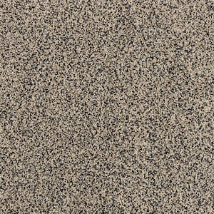 8 in. x 8 in. Texture Carpet Sample - Radiant Retreat III  - Color Misty