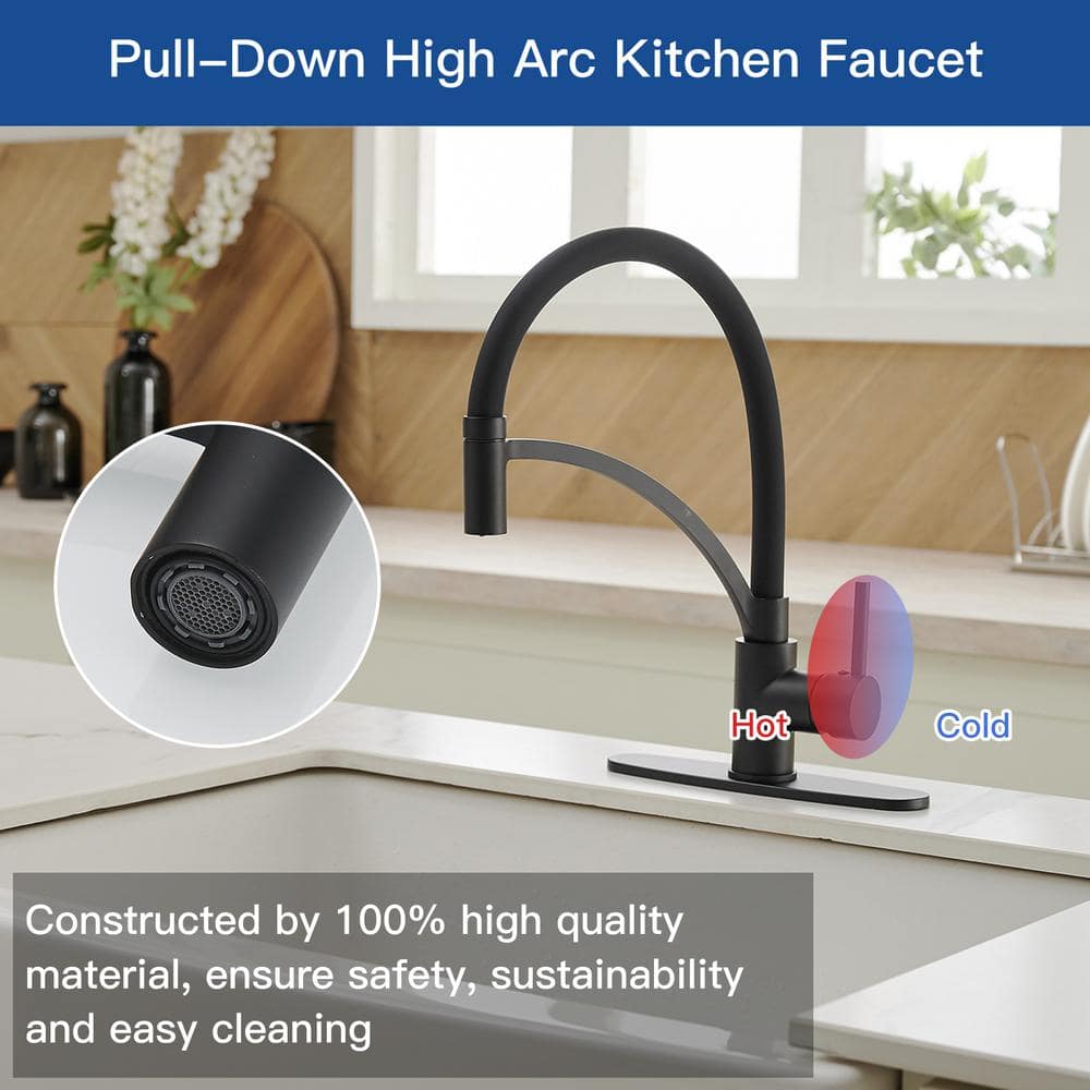 Matte Black Pull-Out Spray Single Handle Kitchen Faucet