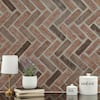 noble-red-clay-msi-smot-clanb-sam-e1.1