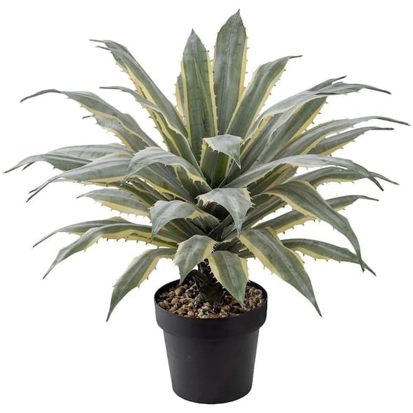 アガベ AGB33 33 in Green Yellow Artificial Agave Shrub Indoor Outdoor Faux