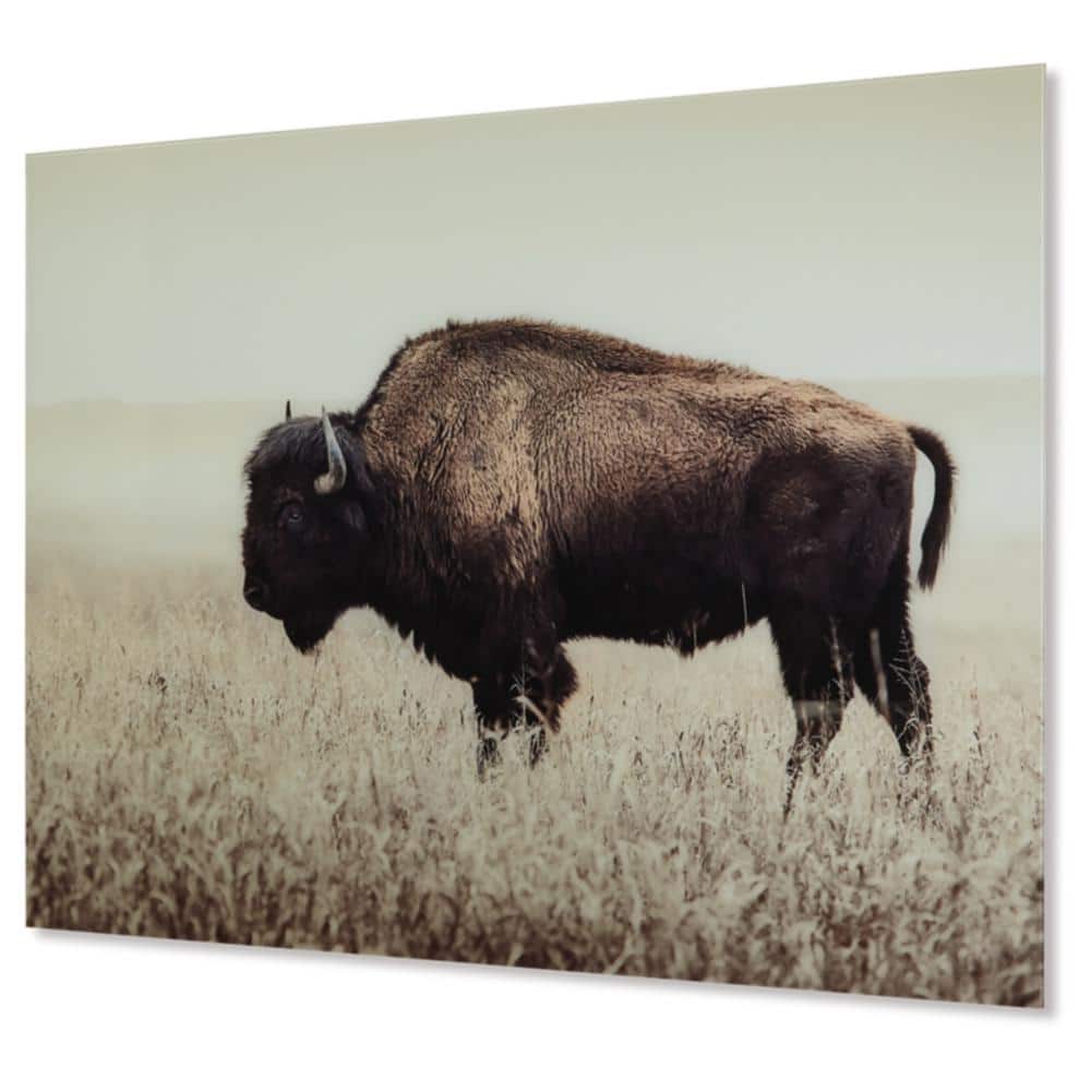 Sepia Bison Glass Wall Art in Beige and Brown