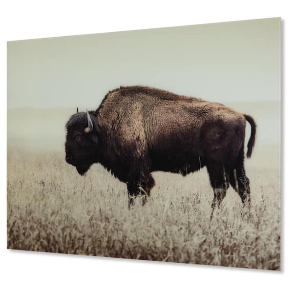 Signature DESIGN BY ASHLEY Brutus Unframed Sepia Bison Art Print 36 in. x 48 in.