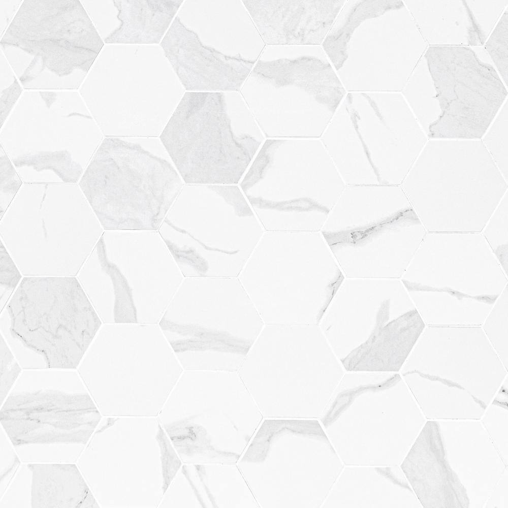 Eden Statuary Matte Porcelain Hexagon Mosaic Tile 6x6