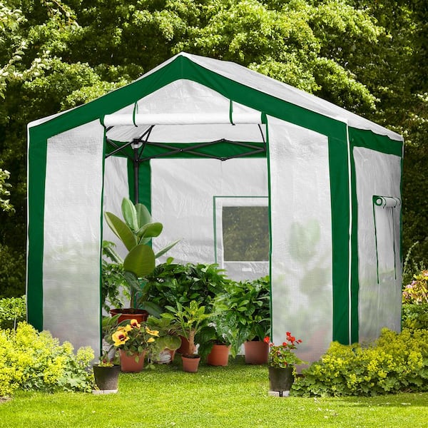 EAGLE PEAK 96 in. W x 96 in. D Portable Walk-In Pop-Up Instant Outdoor Gardening Greenhouse