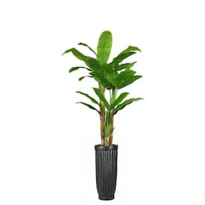 VINTAGE HOME 93 in. Tall Banana Tree with Real Touch Leaves in Planter ...