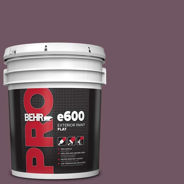 5 gal. #S110-7 Exotic Eggplant Flat Exterior Paint