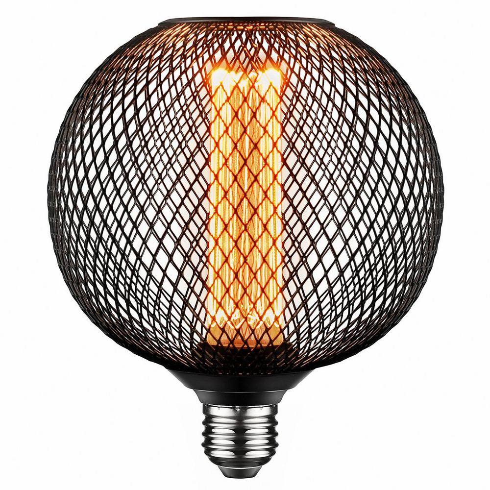 Warm Black Globe LED Bulb with Metal Cage
