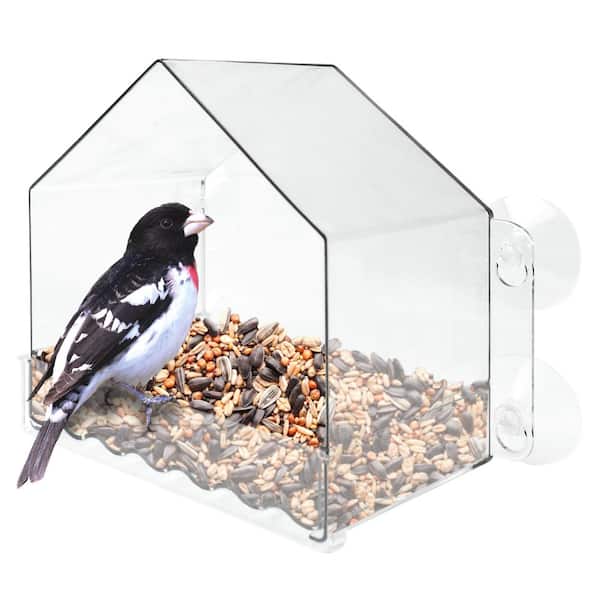 Clear View Window Bird Plastic Feeder 2 Cup