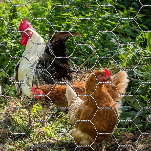Chicken Wire & Poultry Netting at Ace Hardware - Ace Hardware