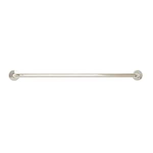 45 in. Stainless Steel Wall Mount Bathroom Shower Grab Bar, Peened Satin Finish